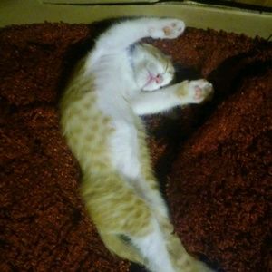 Meet your Posher, Juana